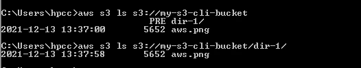 AWS CLI Decoded with Practical Examples [Tutorial]