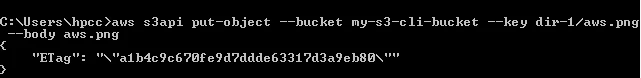 AWS CLI Decoded with Practical Examples [Tutorial]