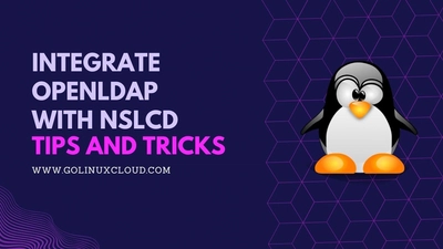 Create Central Authentication Server with OpenLDAP and NSLCD in Ubuntu
