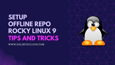Could not resolve host: mirrors.rockylinux.org