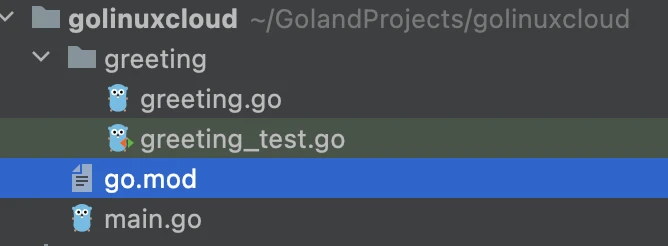Go module structure
