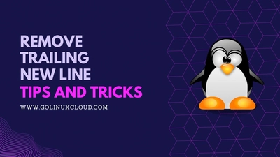 What `echo` does in Linux, what `echo -n` is, and `echo` vs newlines (`\n`)