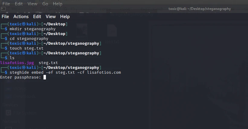 steganography