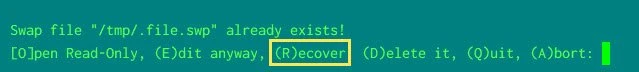 [Solved] Found a swap file by the name
