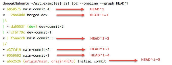git HEAD~ vs HEAD^ vs HEAD@{} Explained [Easy Examples]