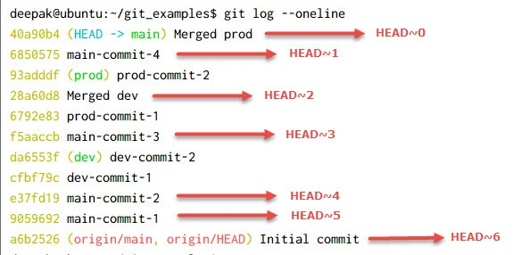 git HEAD~ vs HEAD^ vs HEAD@{} Explained [Easy Examples]