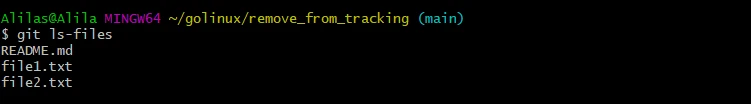 SOLVED: git remove file from tracking [Practical Examples]