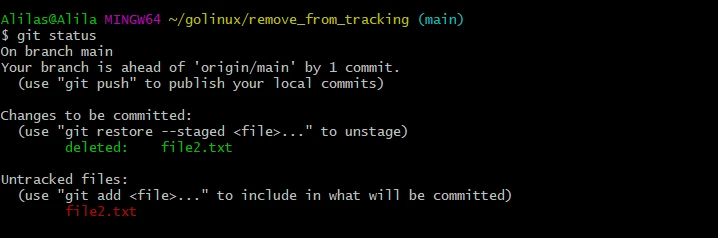 SOLVED: git remove file from tracking [Practical Examples]