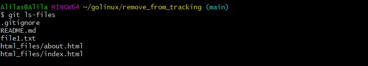 doing git remove file from tracking on HTML files