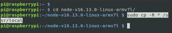 Install Nodejs and NPM on Raspberry Pi [Step-by-Step]