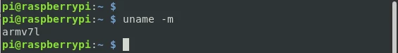 Install Nodejs and NPM on Raspberry Pi [Step-by-Step]