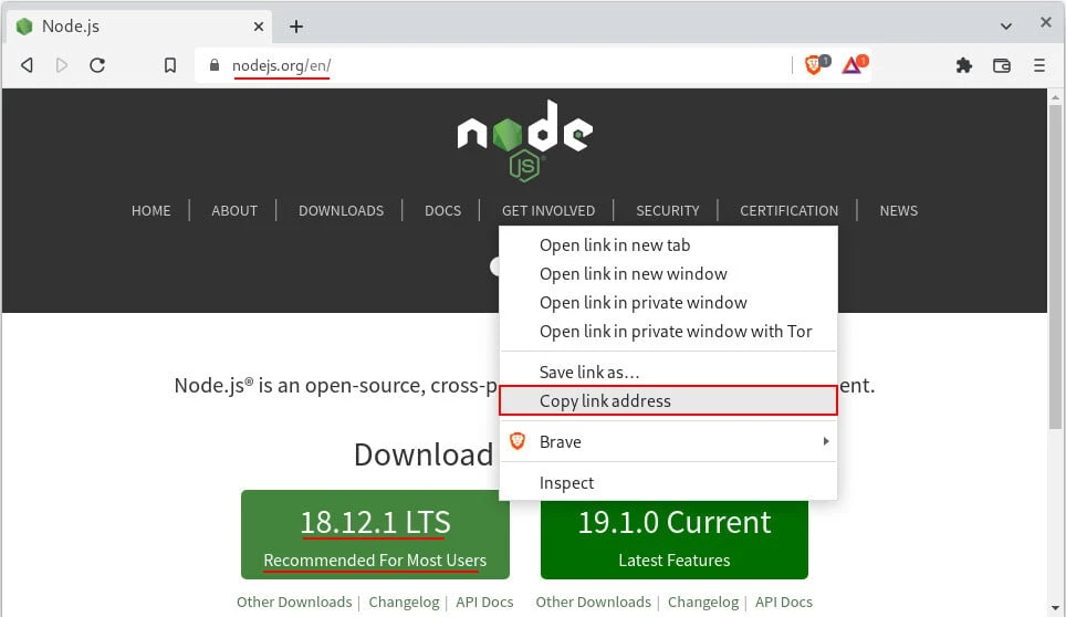 install nodejs