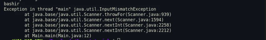 java user input