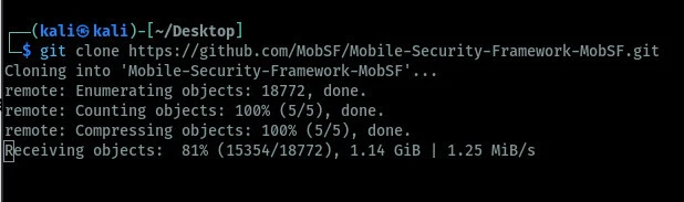 app pentesting
