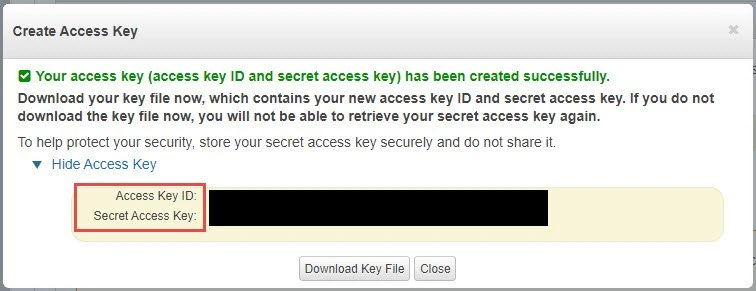 Download or copy the access key pair once