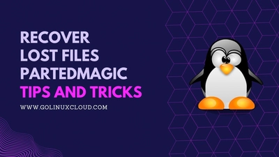 Recover Lost Files PartedMagic