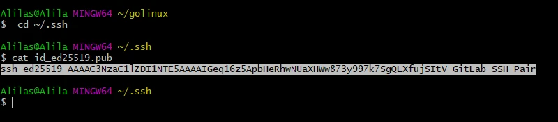 Public SSH key copied for GitLab account setup