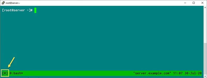 tmus session name