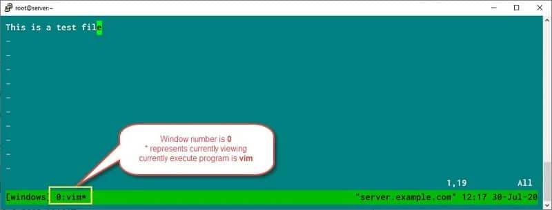 tmux windows
