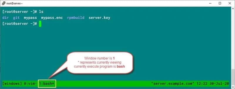 tmux windows