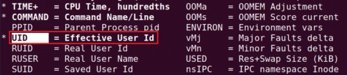 top display uid