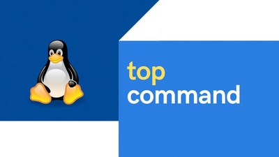 20 top command examples in Linux [Cheat Sheet]