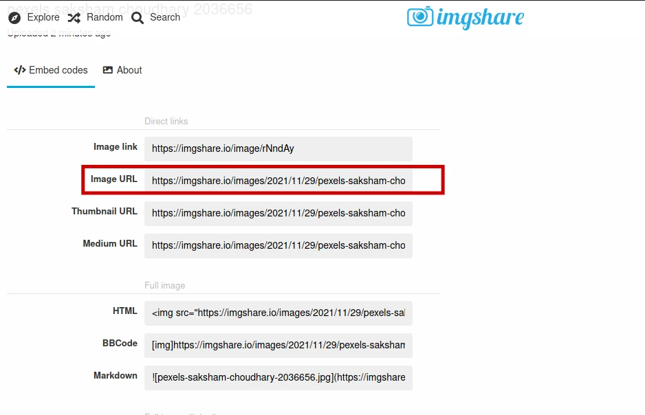 track ip address