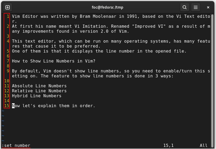 Vim