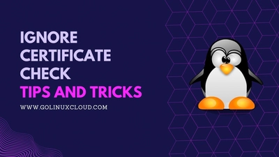 How to ignore certificate check in wget? [SOLVED]