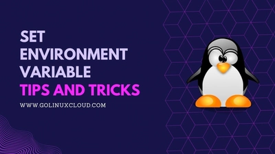 Where to set environment variables in Linux?