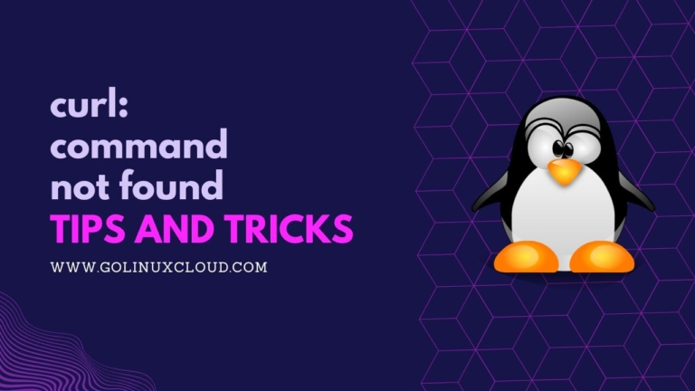 bash: curl: command not found