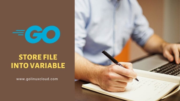 3 ways to read file into variable in Golang [SOLVED]