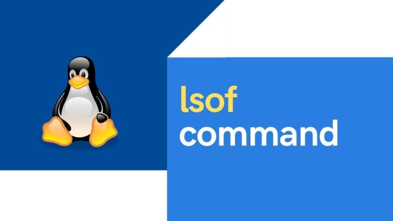 15+ lsof command examples in Linux [Cheat Sheet]