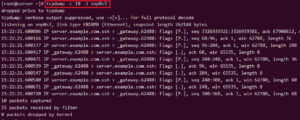 10+ tcpdump command examples in Linux [Cheat Sheet] | GoLinuxCloud