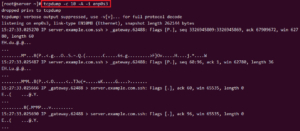 10+ tcpdump command examples in Linux [Cheat Sheet] | GoLinuxCloud