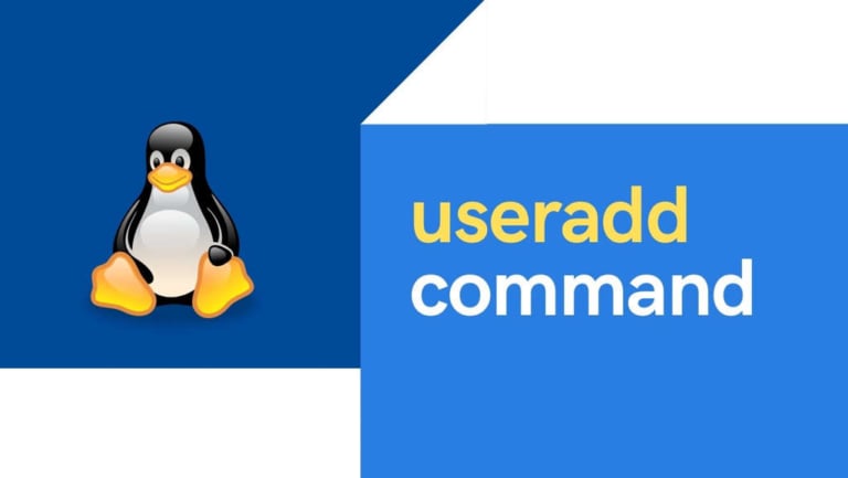 14 most used useradd command examples in Linux